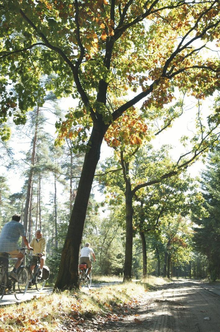 Harba Lorifa Hostel Valkenswaard Bagian luar foto